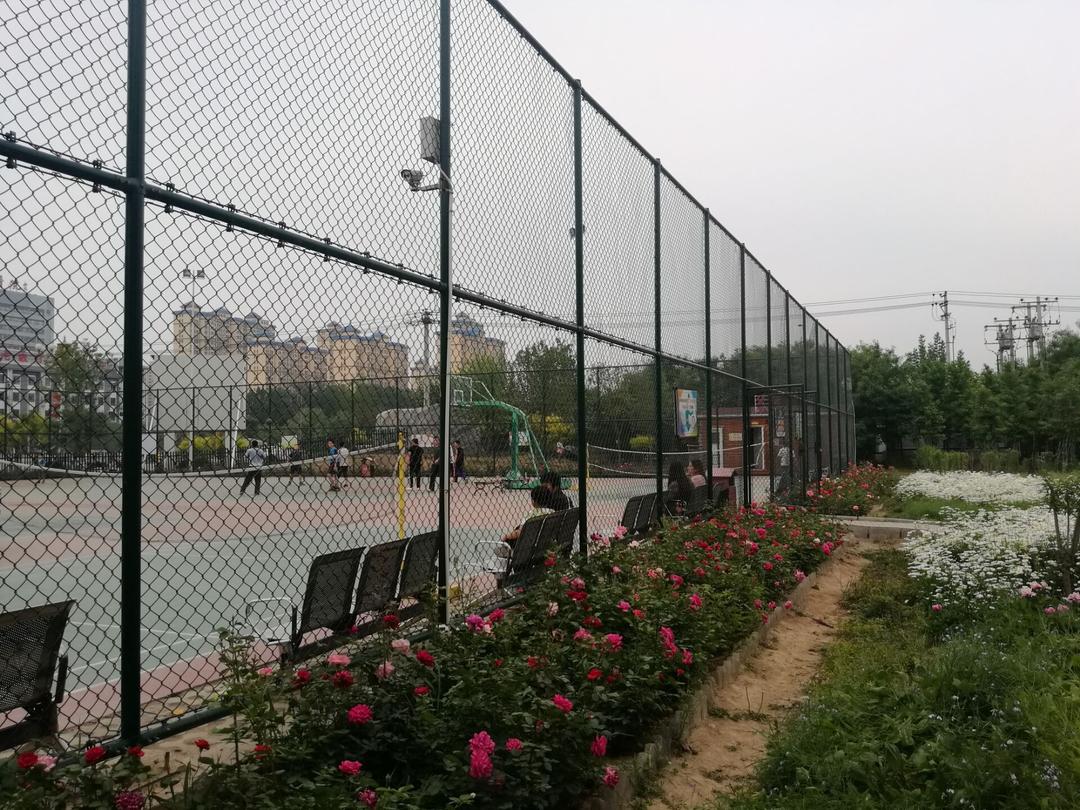 sportground chain link fence