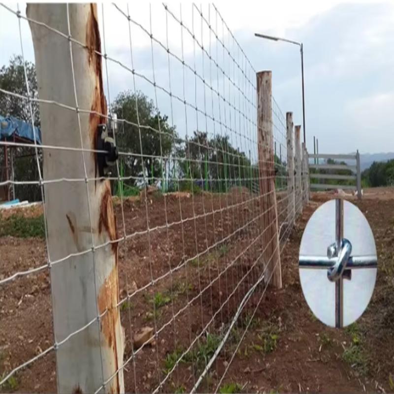 Horse Fence