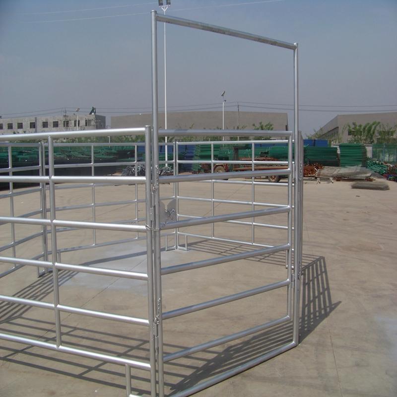 Cattle Panel